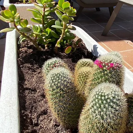 Сasa de vacaciones Bella Mirada 4