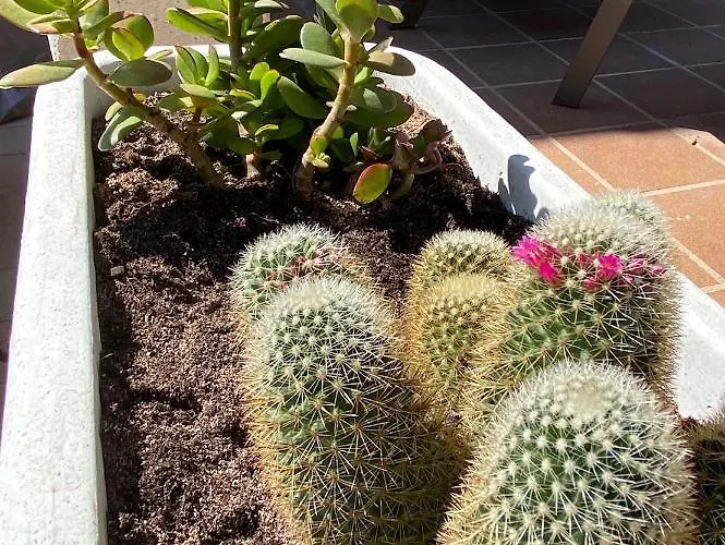 Σπίτι διακοπών Bella Mirada 4 - Piscine Chauffee